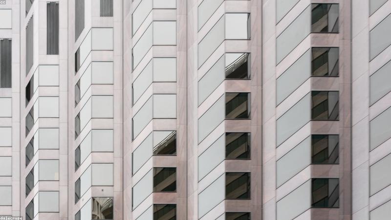 免费91 网页团队成员正在讨论网页收录与用户体验